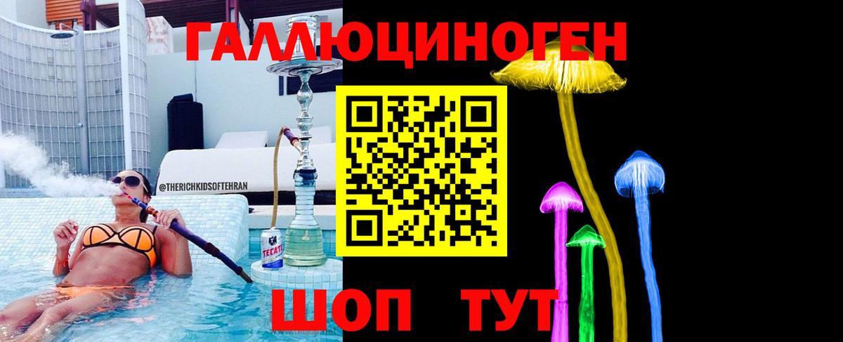 где купить наркотик  Псилоцибиновые грибы Psilocybine cubensis  Сочи  Вход с VPN  Псилоцибиновые грибы прущие грибы 